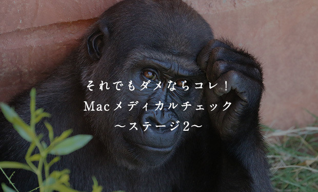 それでもダメならコレ！Macメディカルチェック〜ステージ2〜